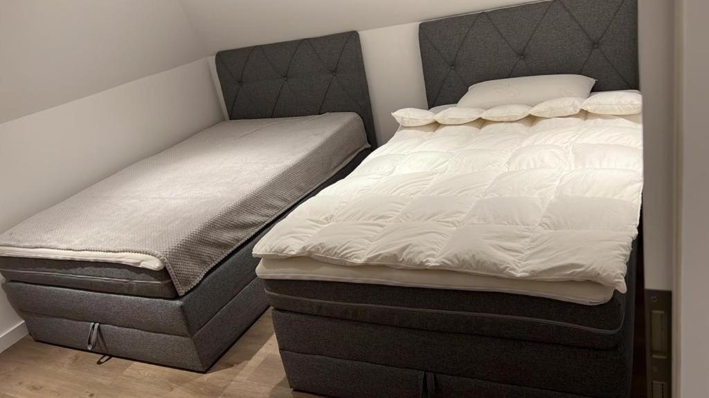Ferienwohnung Nella Πάντερμπορν Εξωτερικό φωτογραφία